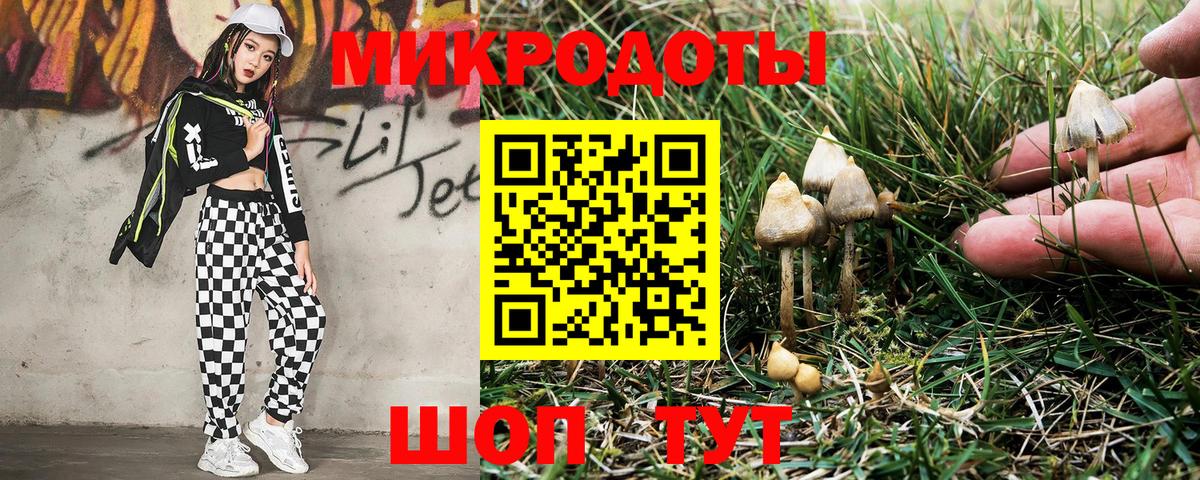 Дербент  Псилоцибиновые грибы Cubensis  Вход с VPN 